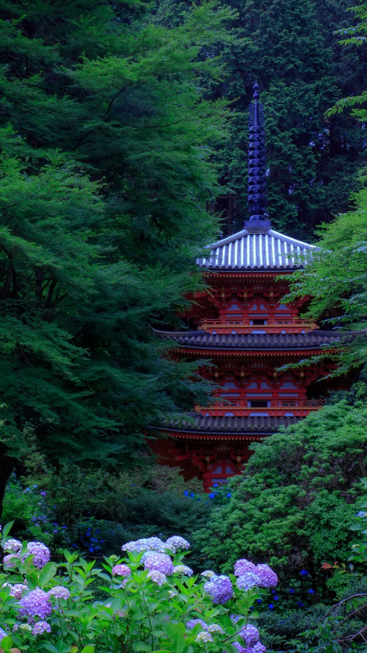 Flores Blancas y Moradas en el Jardín. Wallpaper in 720x1280 Resolution