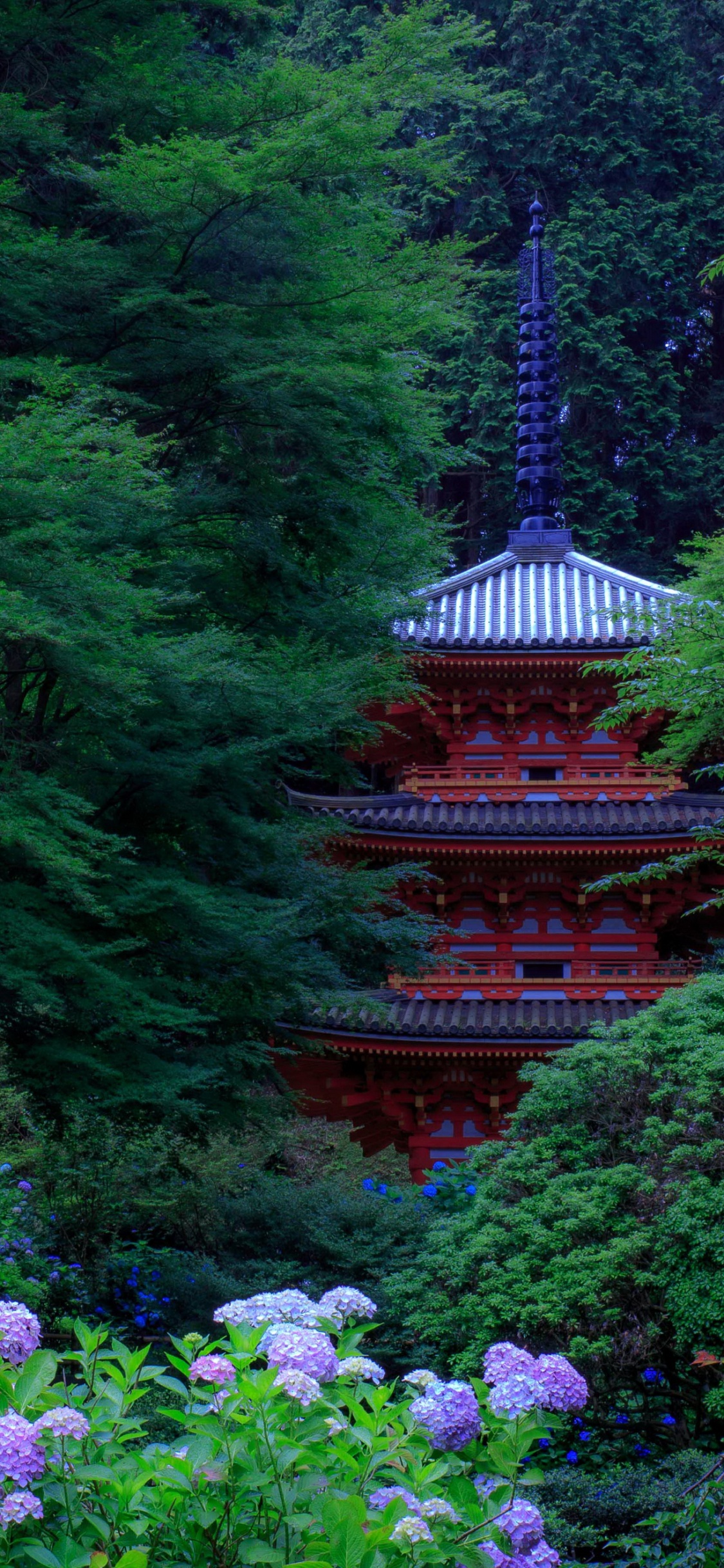 White and Purple Flowers on Garden. Wallpaper in 1125x2436 Resolution