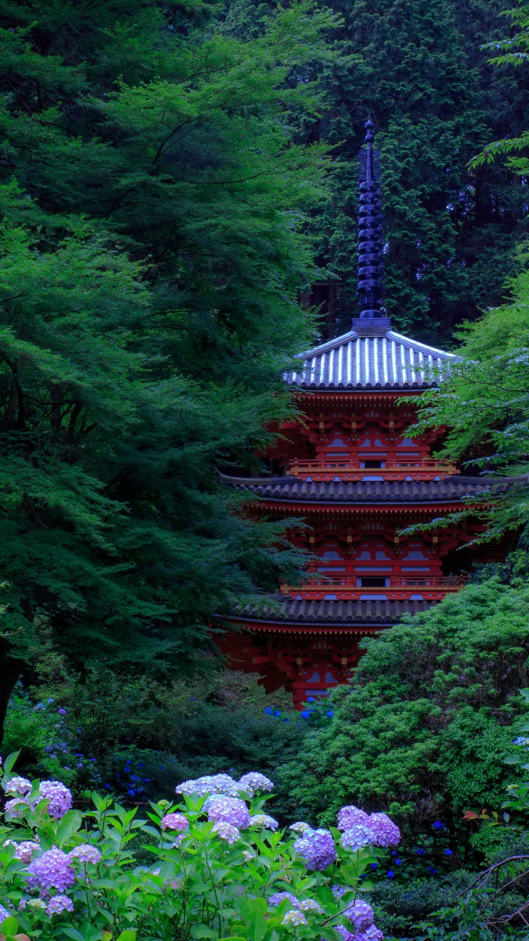 日本, 花园, 日本花园, 灌木, 性质 壁纸 1080x1920 允许