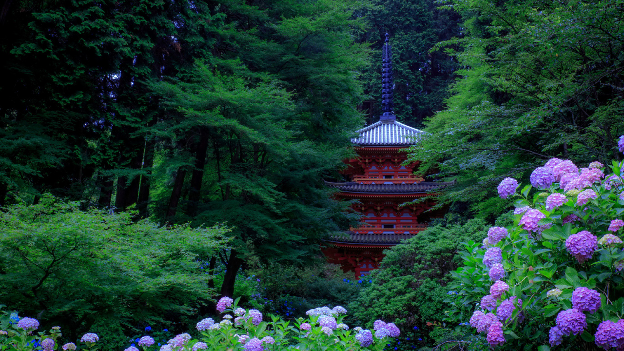 日本, 花园, 日本花园, 灌木, 性质 壁纸 1280x720 允许