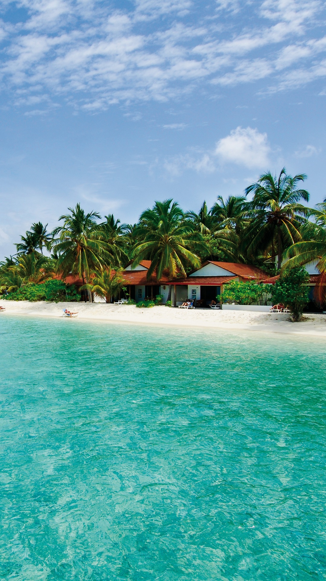 Green Palm Trees on Beach During Daytime. Wallpaper in 1080x1920 Resolution