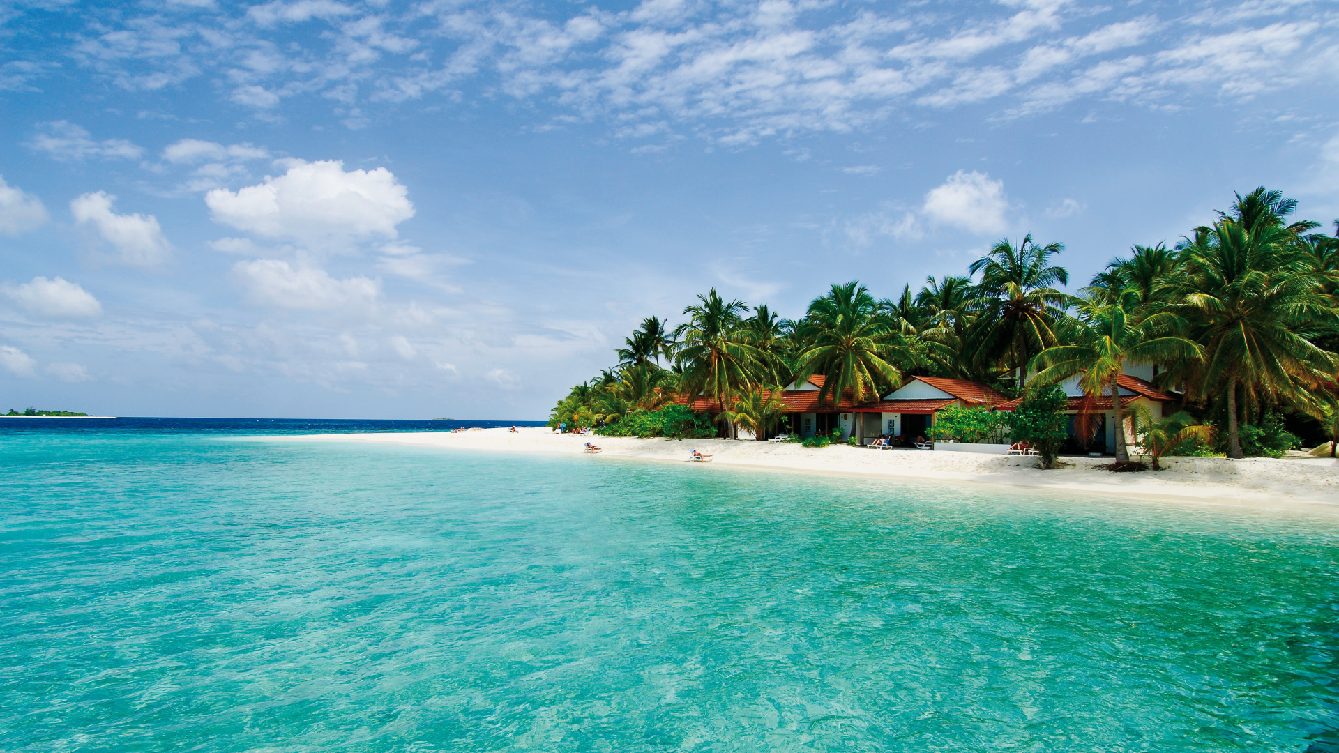 Green Palm Trees on Beach During Daytime. Wallpaper in 1920x1080 Resolution