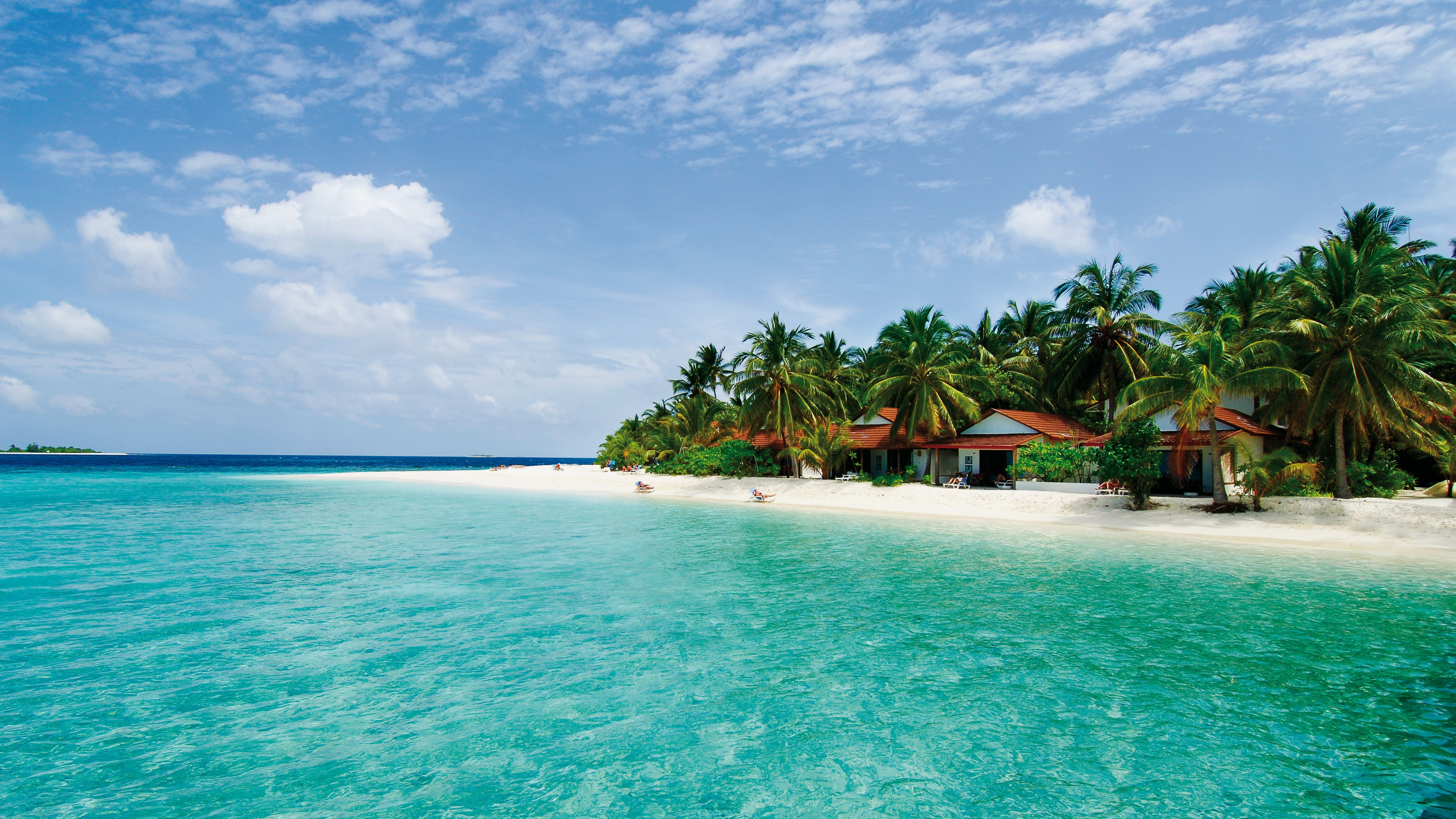 Green Palm Trees on Beach During Daytime. Wallpaper in 3840x2160 Resolution