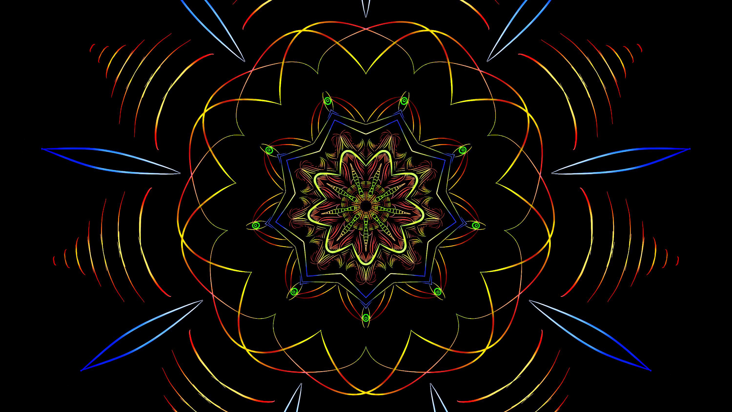 Blue and White Flower Illustration. Wallpaper in 2560x1440 Resolution