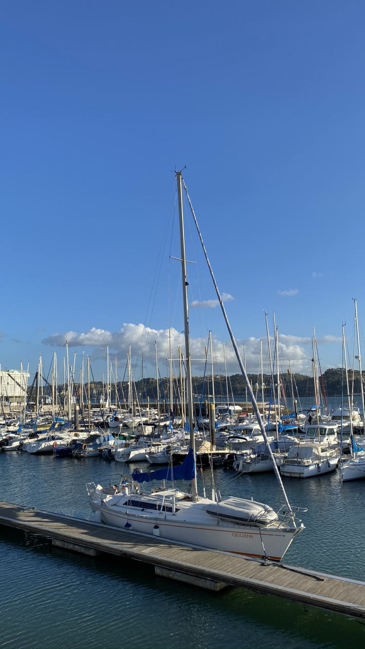 Marina, Yacht, Mast, Sail, Watercraft. Wallpaper in 750x1334 Resolution