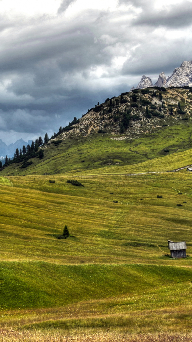 Green Grass Field Under Cloudy Sky During Daytime. Wallpaper in 750x1334 Resolution