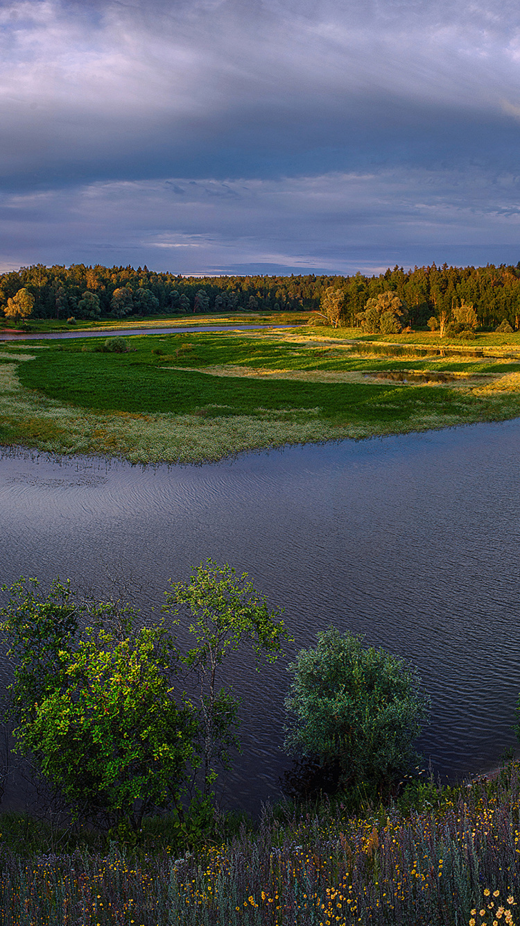 Green Trees Beside River Under Cloudy Sky During Daytime. Wallpaper in 750x1334 Resolution