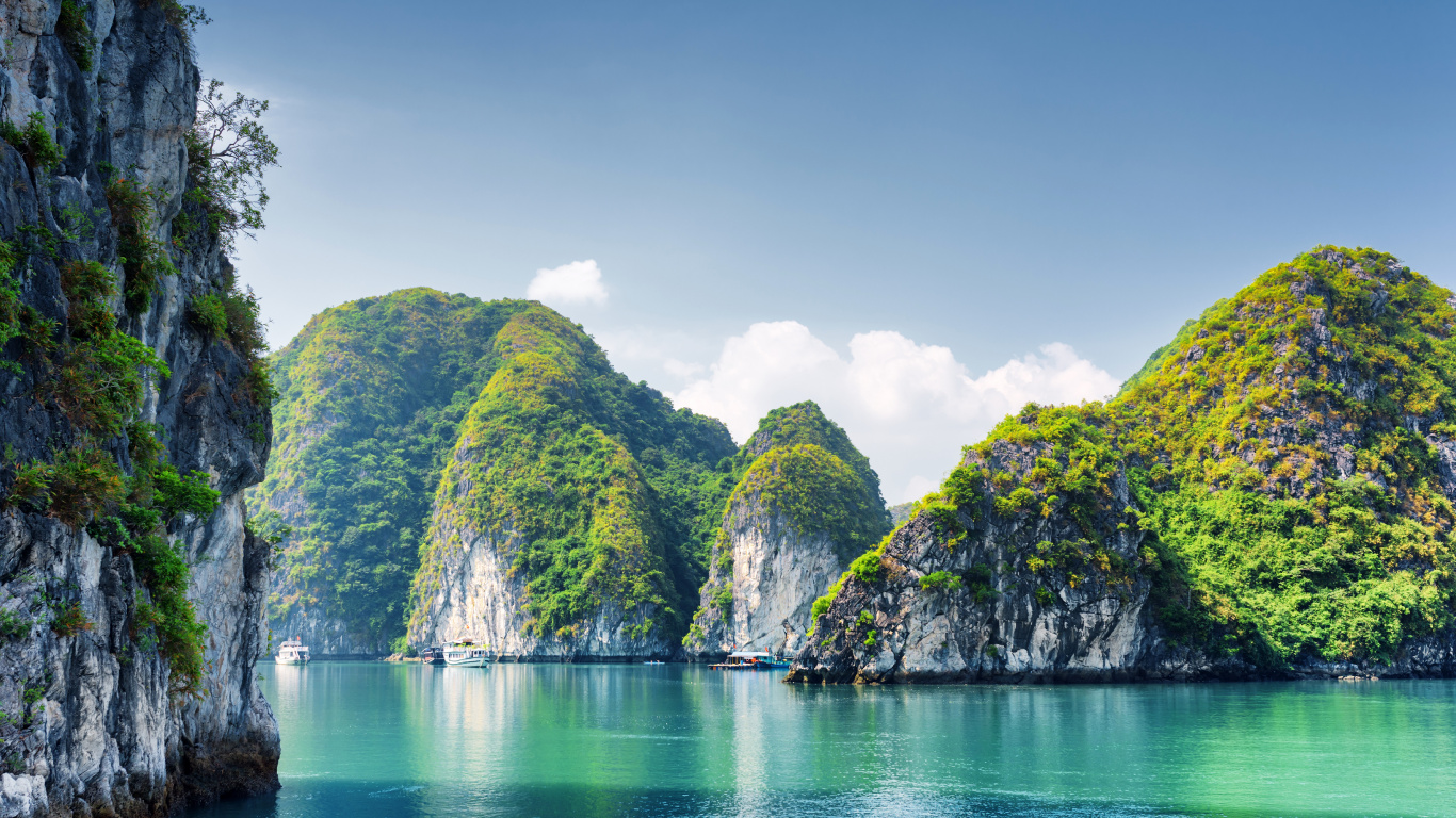 Green Trees on Island During Daytime. Wallpaper in 1366x768 Resolution