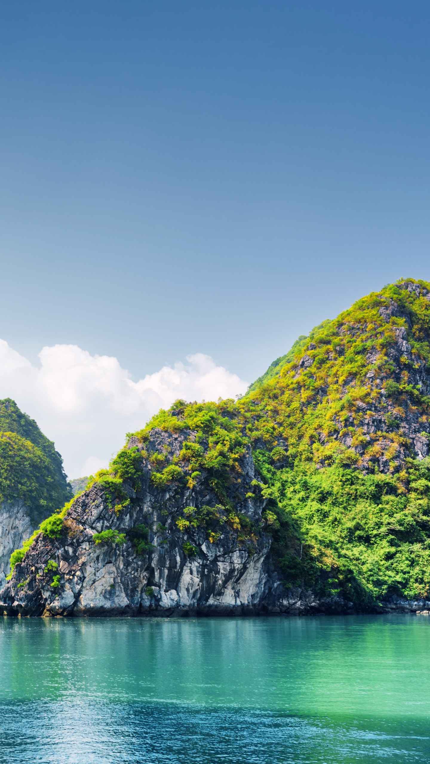 Green Trees on Island During Daytime. Wallpaper in 1440x2560 Resolution