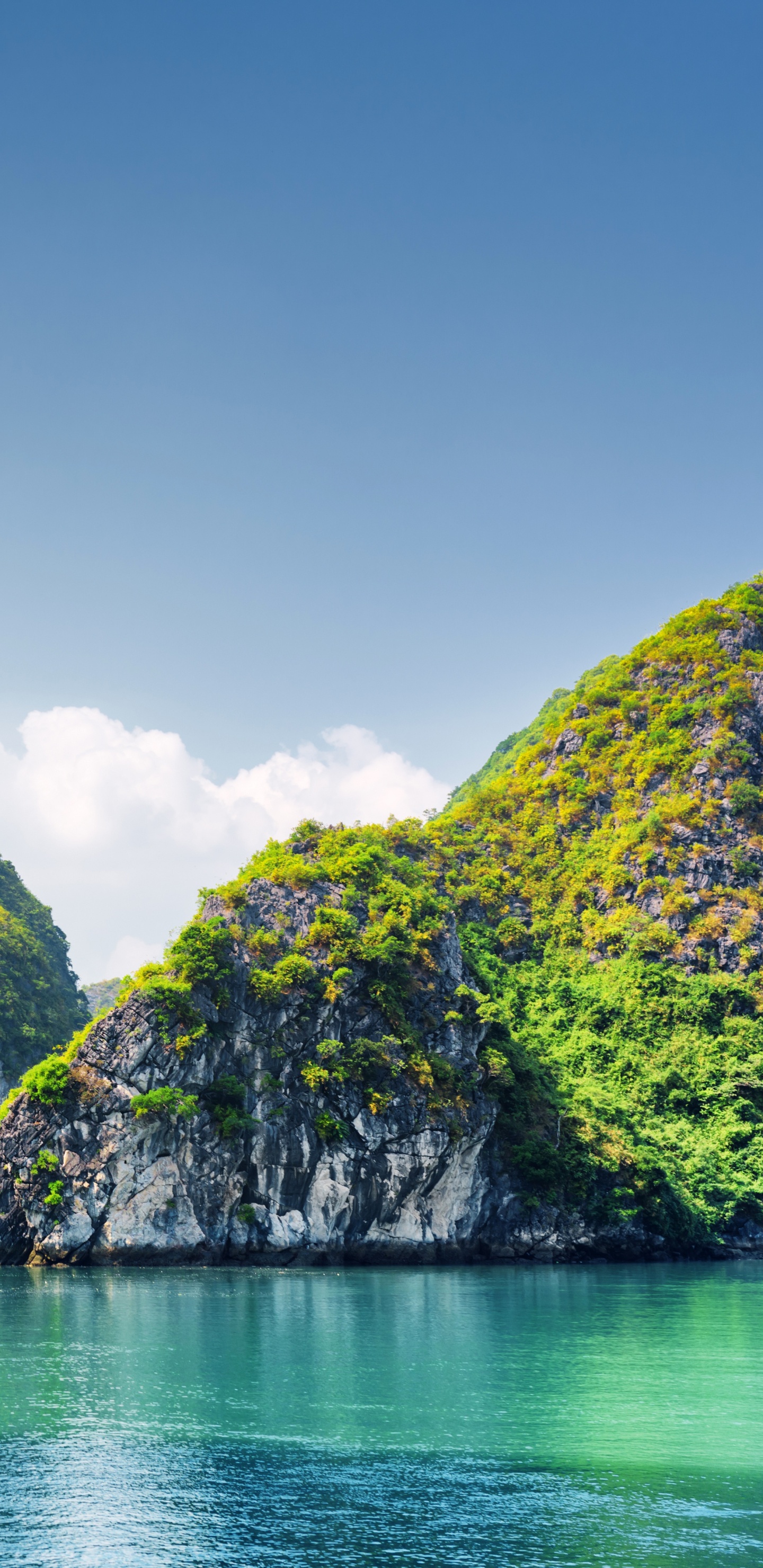 Green Trees on Island During Daytime. Wallpaper in 1440x2960 Resolution