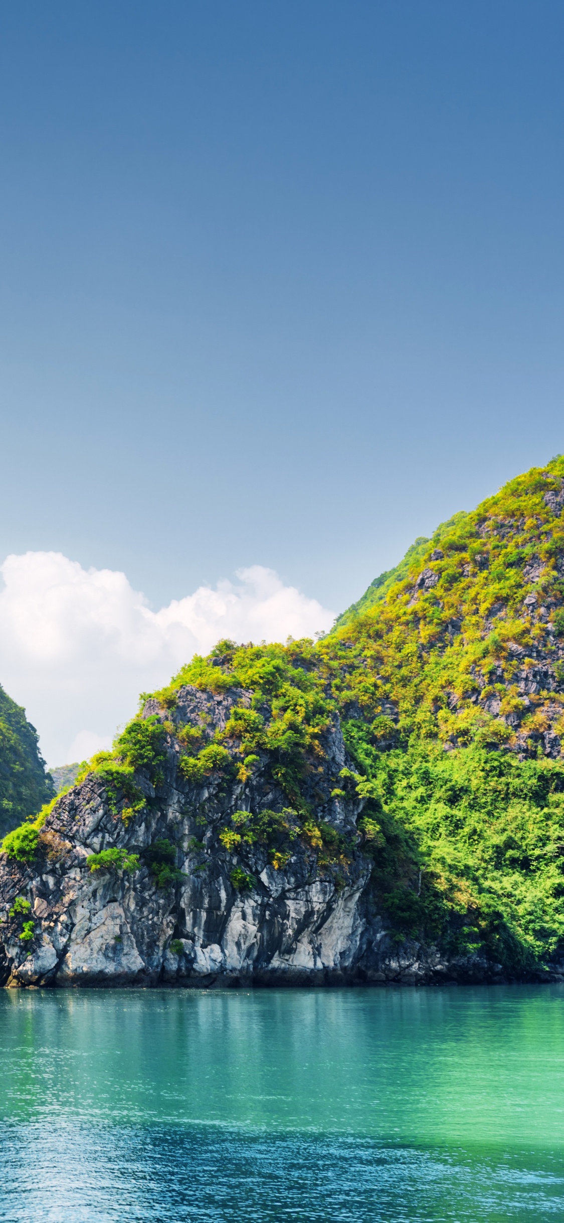 Tagsüber Grüne Bäume Auf Der Insel. Wallpaper in 1125x2436 Resolution