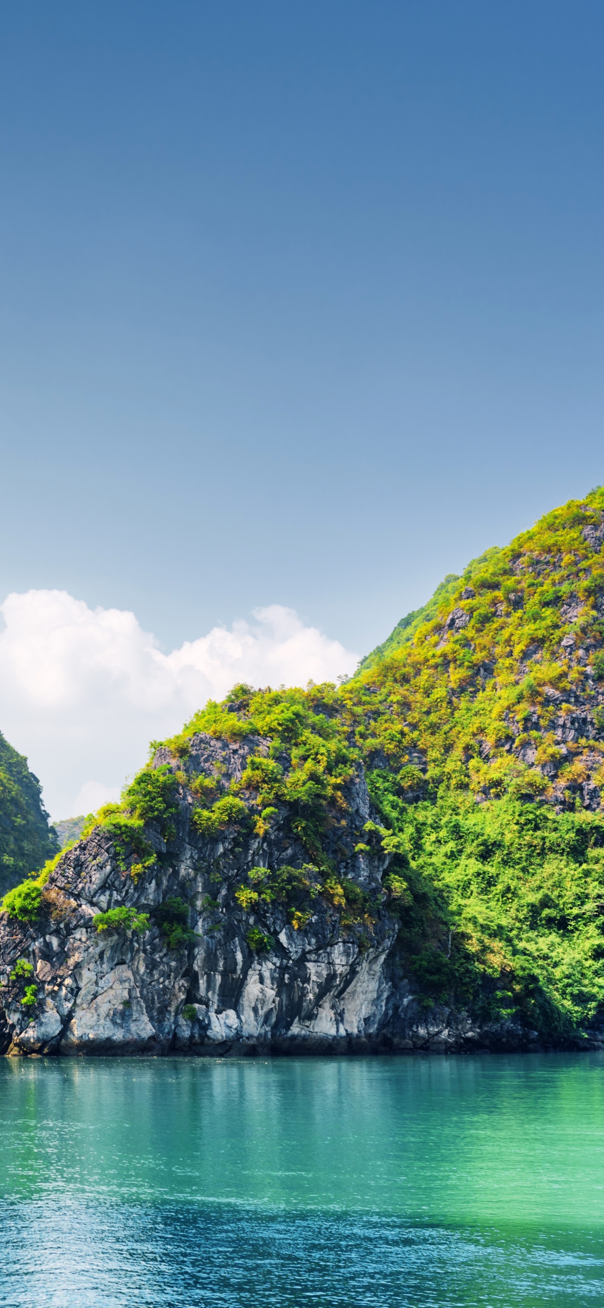 Tagsüber Grüne Bäume Auf Der Insel. Wallpaper in 1242x2688 Resolution