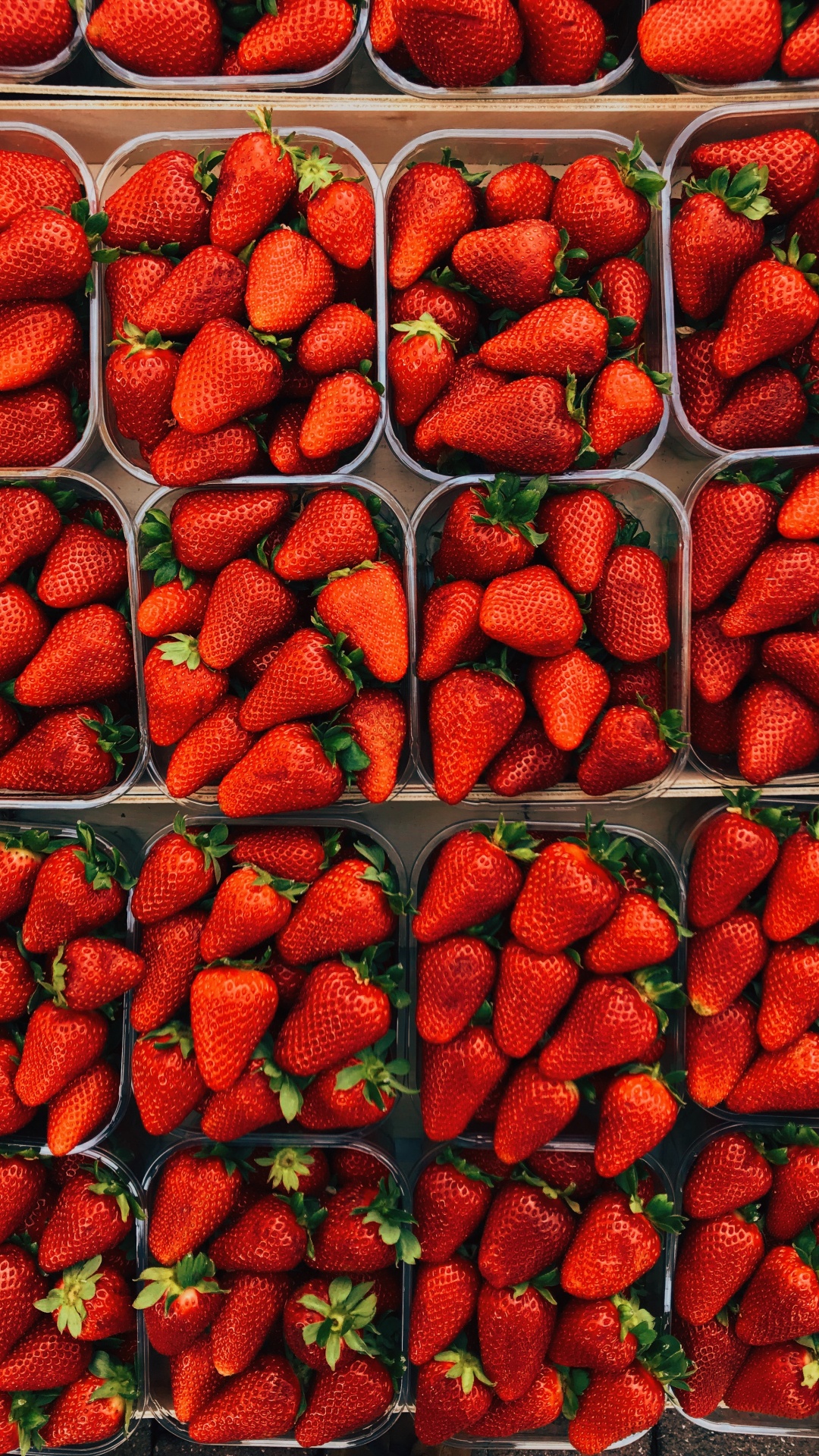 Red Strawberries on Green Plastic Container. Wallpaper in 1080x1920 Resolution