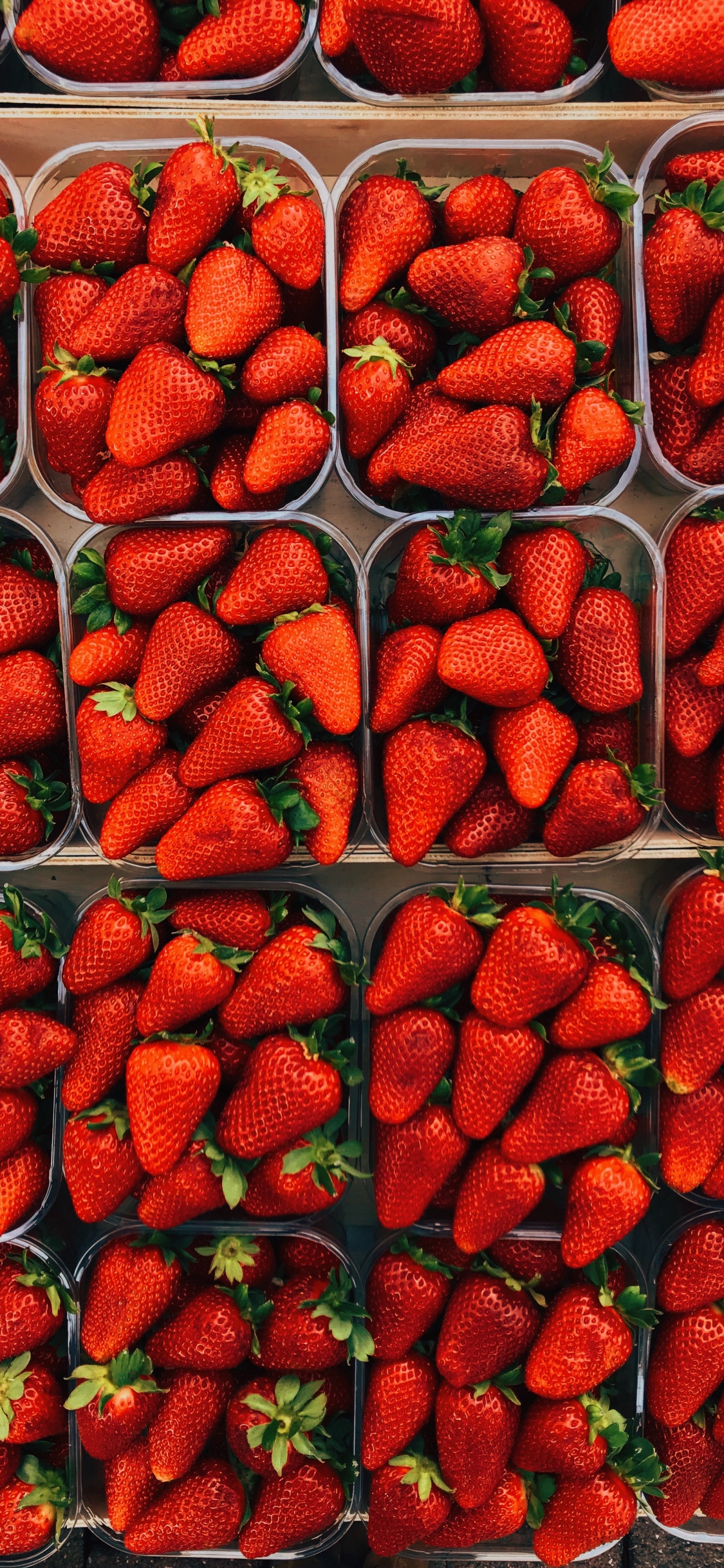 Rote Erdbeeren Auf Grünem Plastikbehälter. Wallpaper in 1125x2436 Resolution