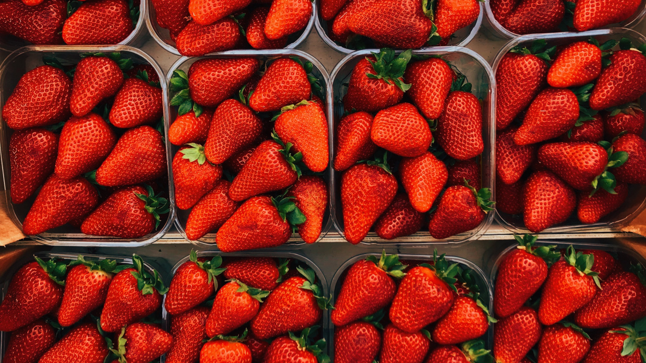 Rote Erdbeeren Auf Grünem Plastikbehälter. Wallpaper in 1280x720 Resolution