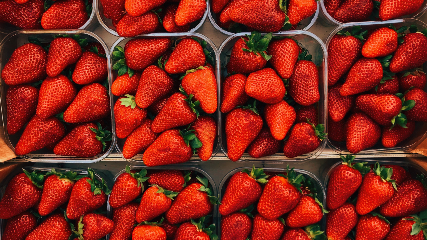 Rote Erdbeeren Auf Grünem Plastikbehälter. Wallpaper in 1366x768 Resolution
