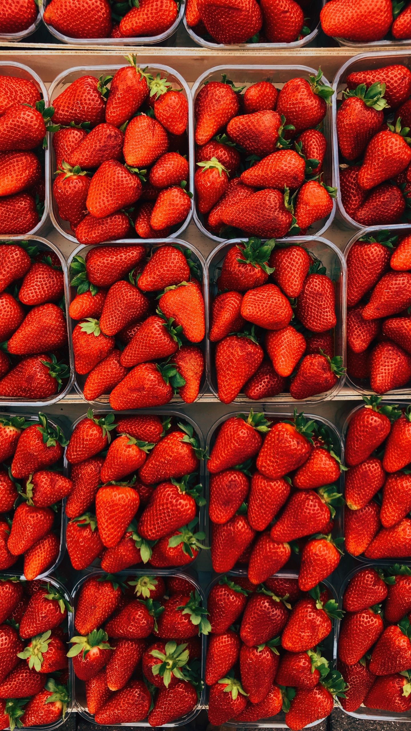 Rote Erdbeeren Auf Grünem Plastikbehälter. Wallpaper in 1440x2560 Resolution