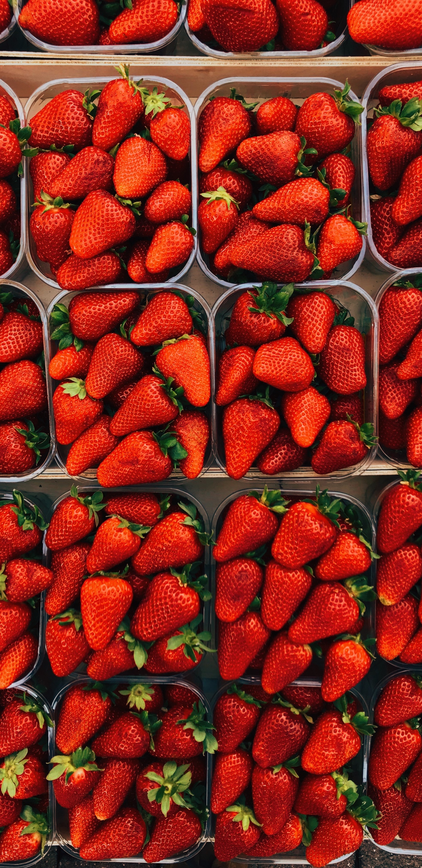 Rote Erdbeeren Auf Grünem Plastikbehälter. Wallpaper in 1440x2960 Resolution