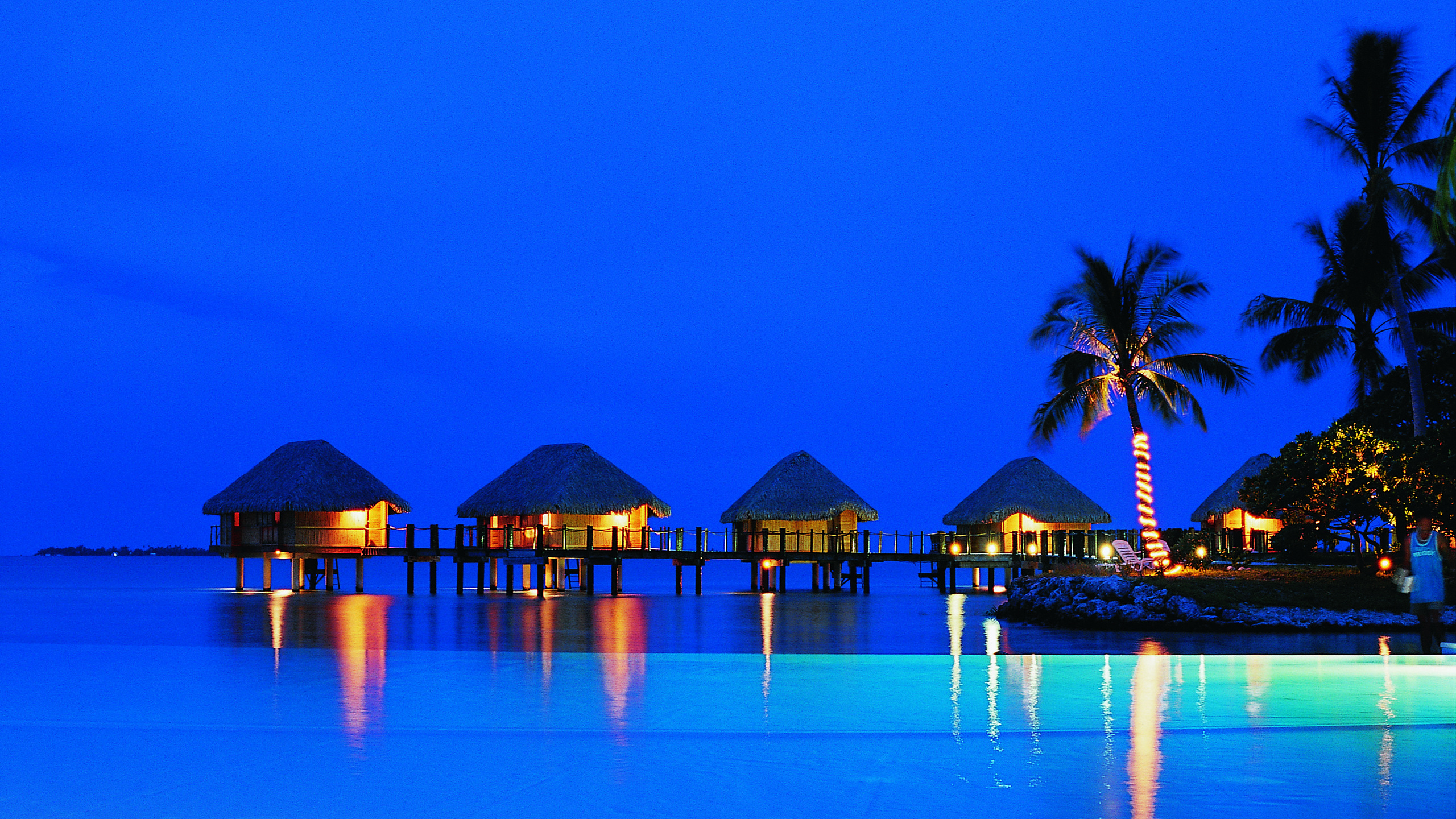 Brown and Green Wooden House Near Palm Trees During Night Time. Wallpaper in 2560x1440 Resolution
