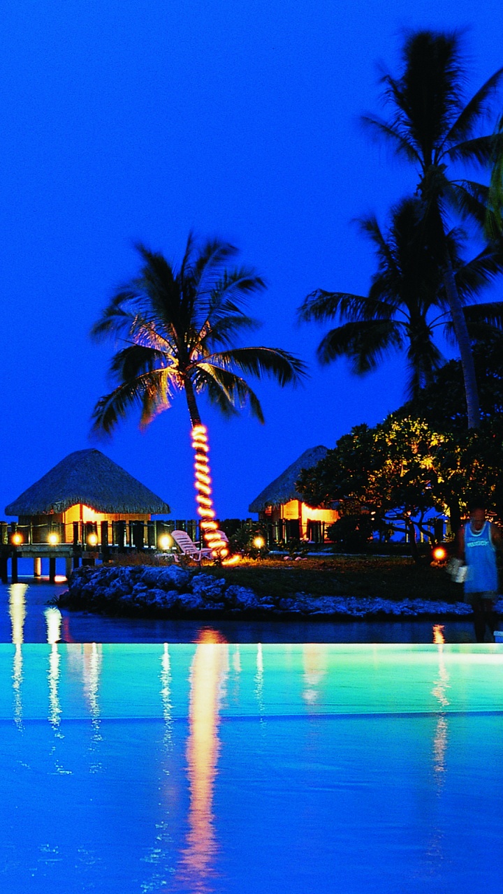 Brown and Green Wooden House Near Palm Trees During Night Time. Wallpaper in 720x1280 Resolution