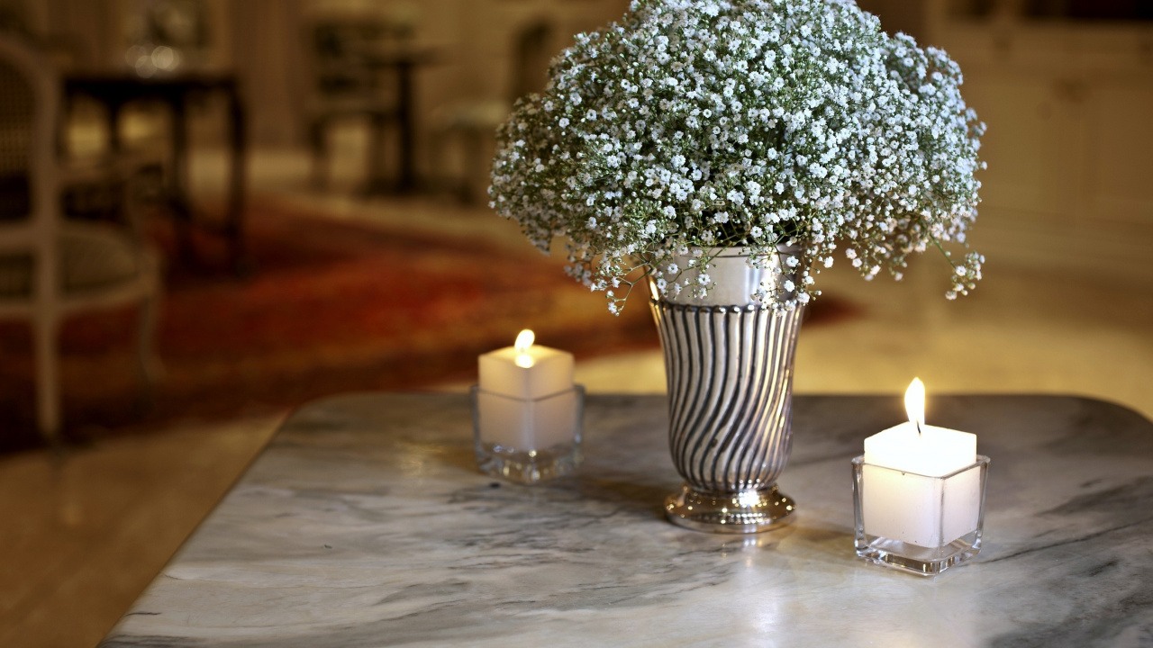 花瓶, 核心, 房间, 室内设计, 切花 壁纸 1280x720 允许