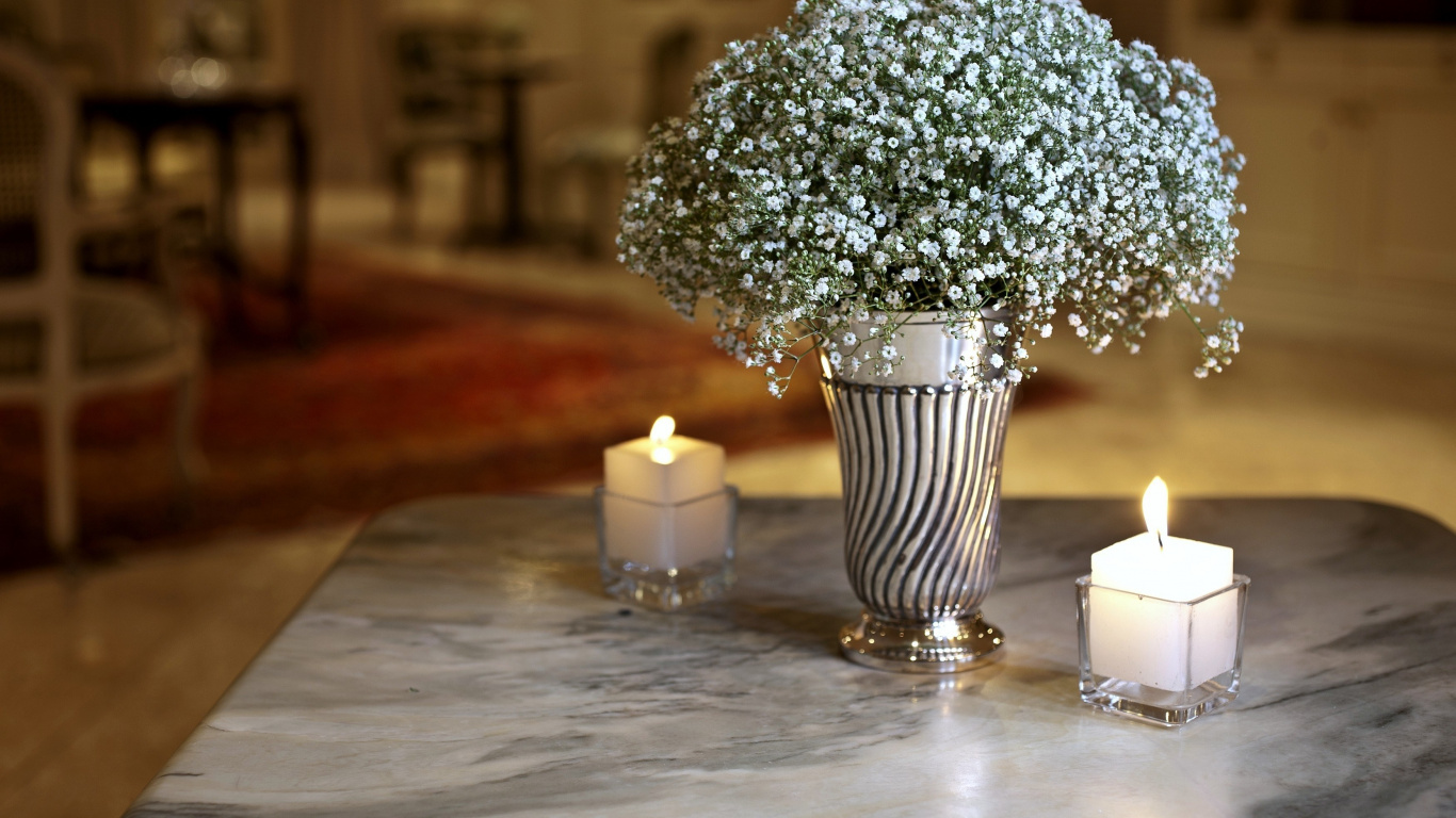 花瓶, 核心, 房间, 室内设计, 切花 壁纸 1366x768 允许