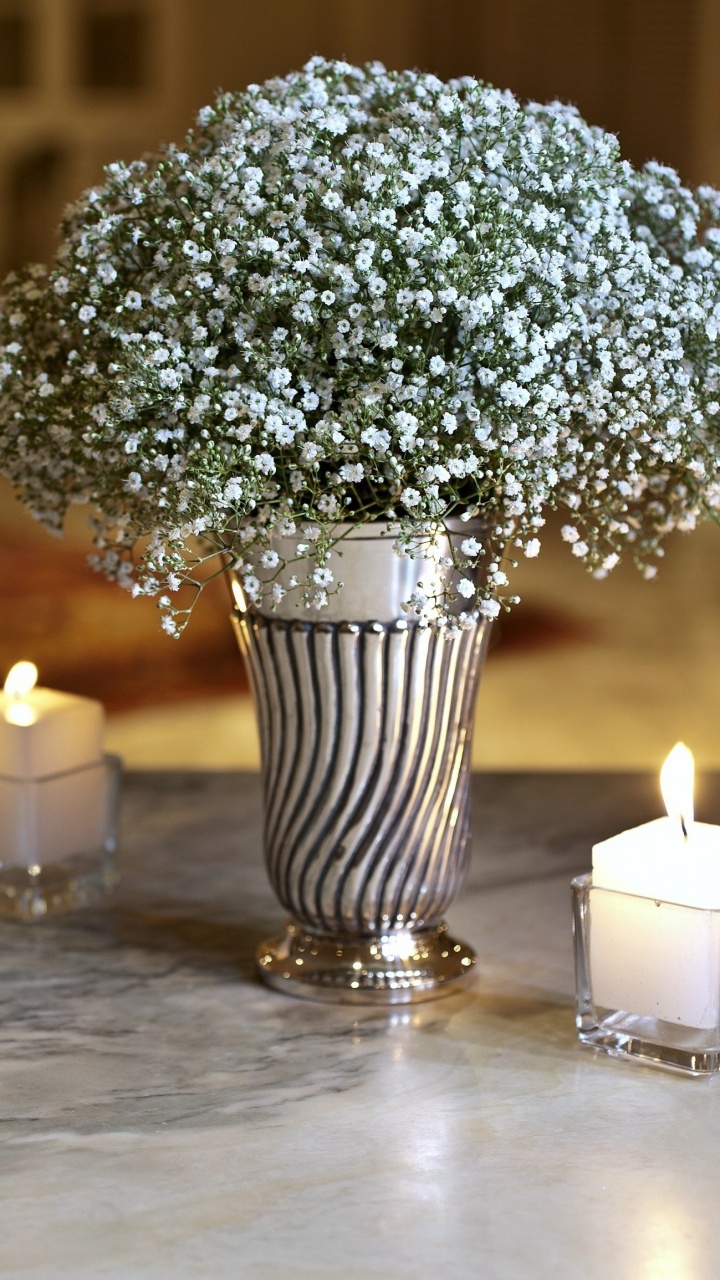 Vase, Flower, Centrepiece, Lighting, Table. Wallpaper in 720x1280 Resolution