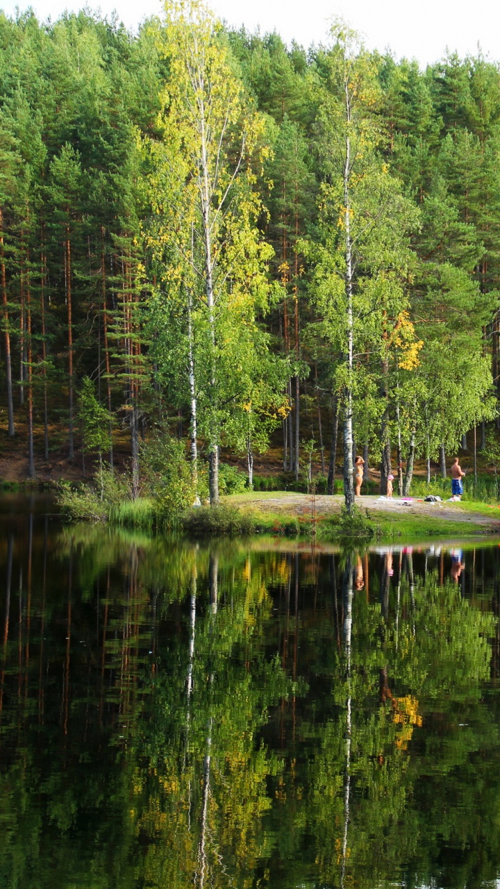 Green Trees Beside Lake During Daytime. Wallpaper in 720x1280 Resolution