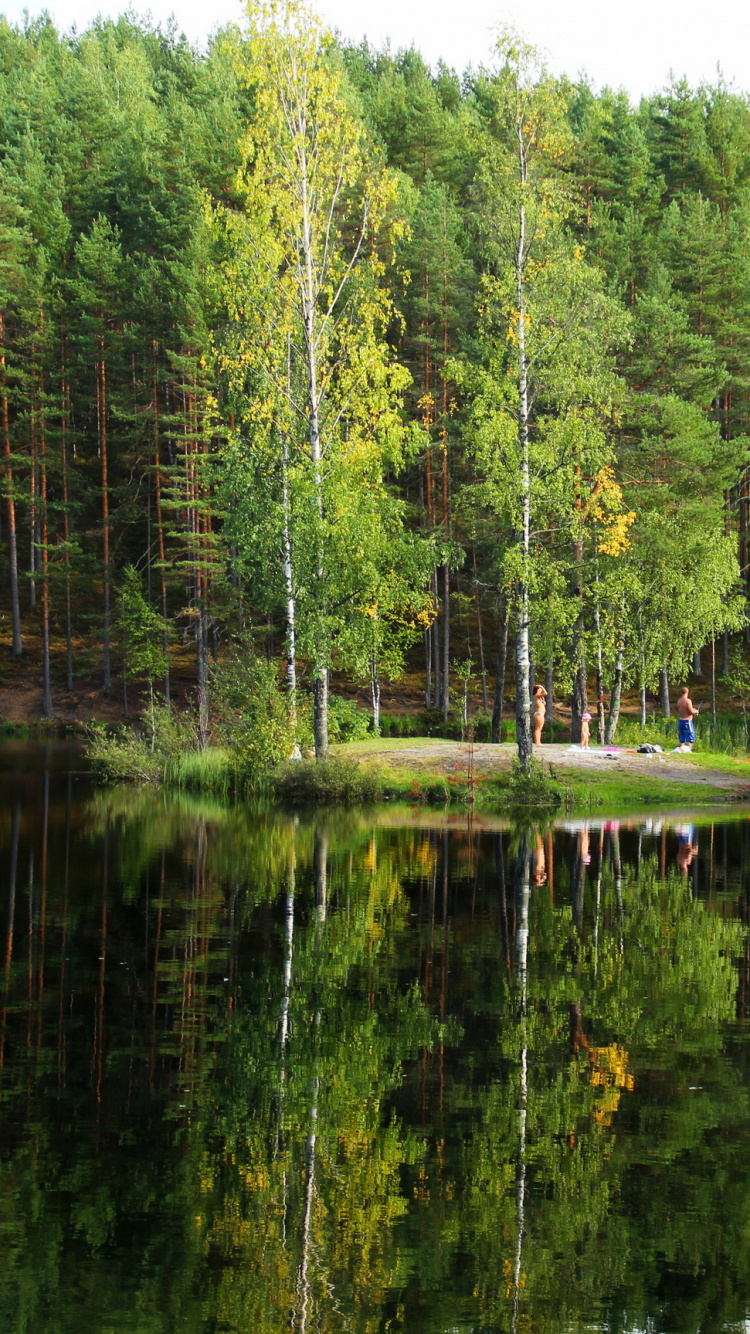 Green Trees Beside Lake During Daytime. Wallpaper in 750x1334 Resolution