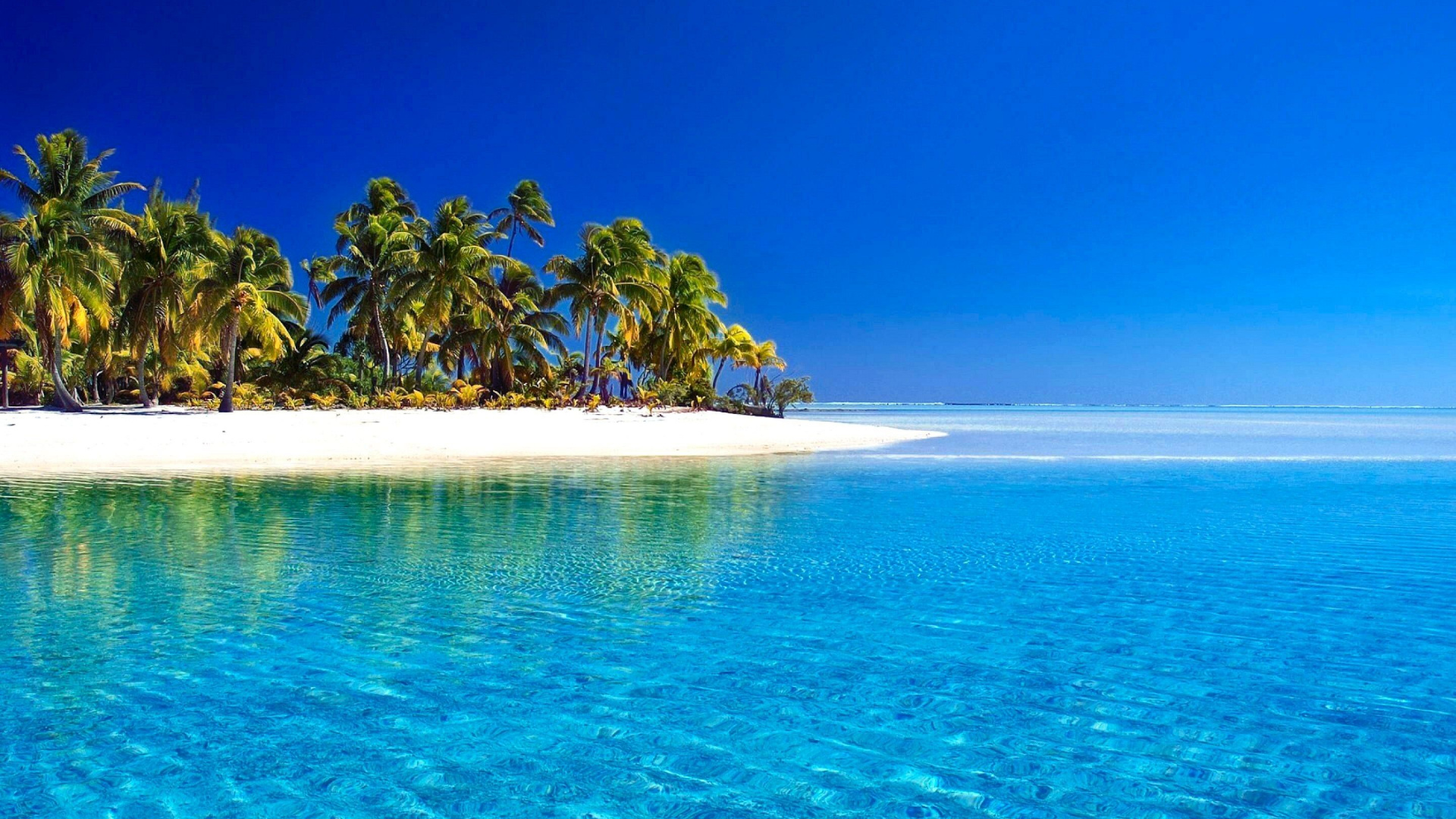 Green Palm Trees on White Sand Beach During Daytime. Wallpaper in 1920x1080 Resolution