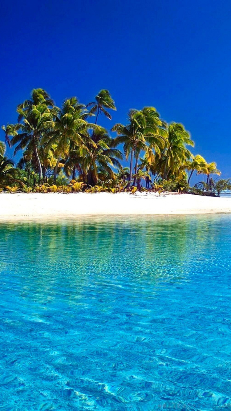 Green Palm Trees on White Sand Beach During Daytime. Wallpaper in 750x1334 Resolution