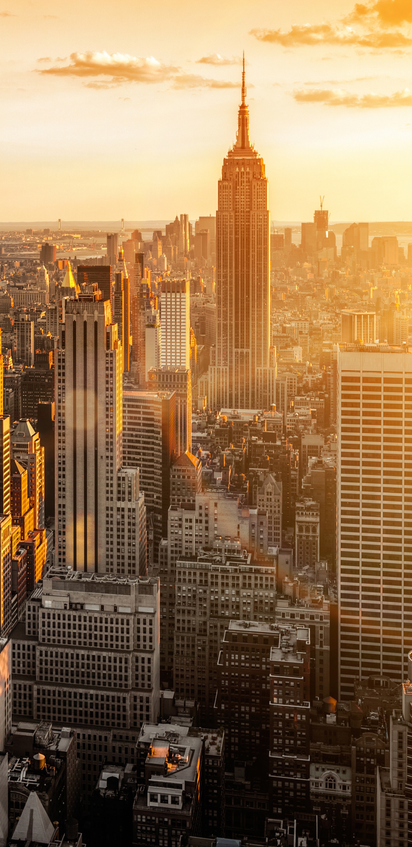 Vista Aérea de Los Edificios de la Ciudad Durante el Día.. Wallpaper in 1440x2960 Resolution