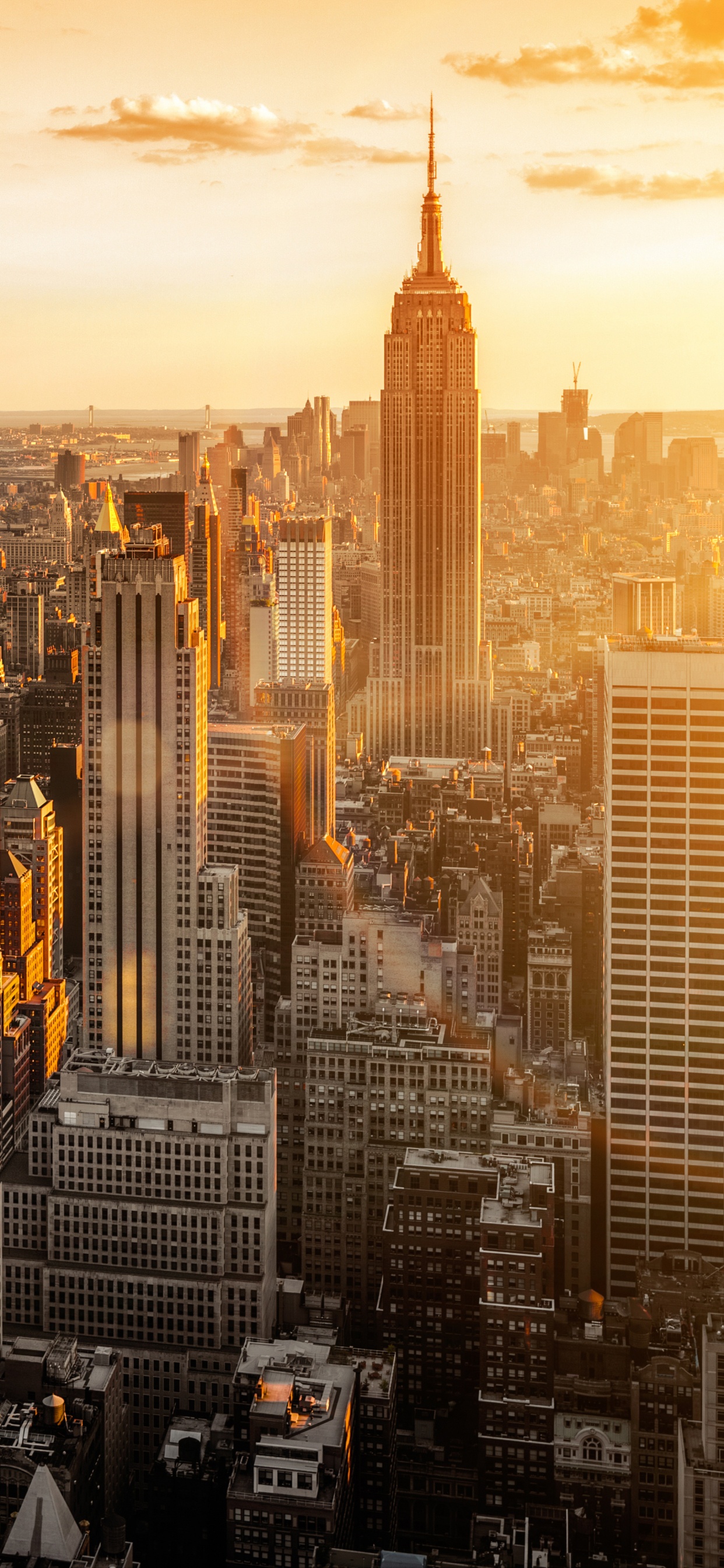 Aerial View of City Buildings During Daytime. Wallpaper in 1242x2688 Resolution