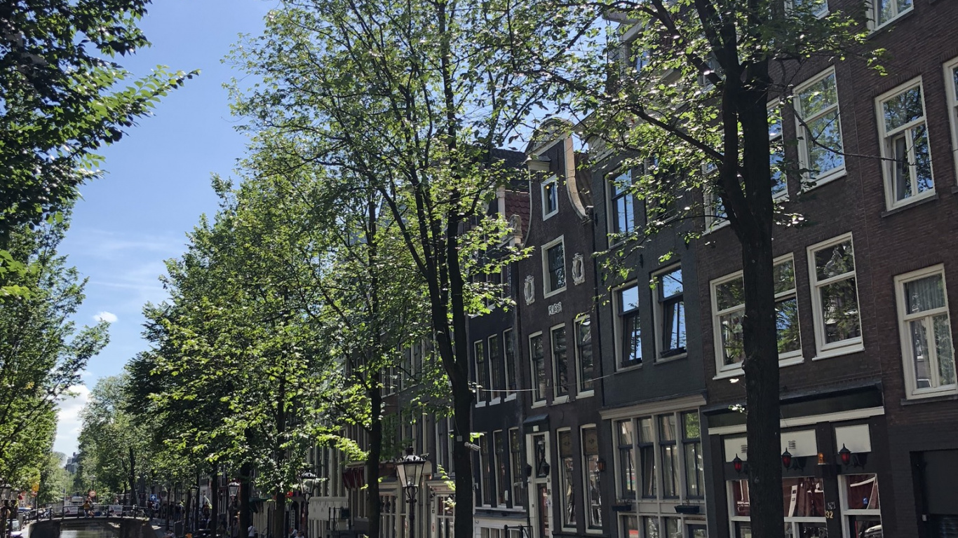 Kanal, Wasser, Wasserlauf, Baum, Fenster. Wallpaper in 1366x768 Resolution