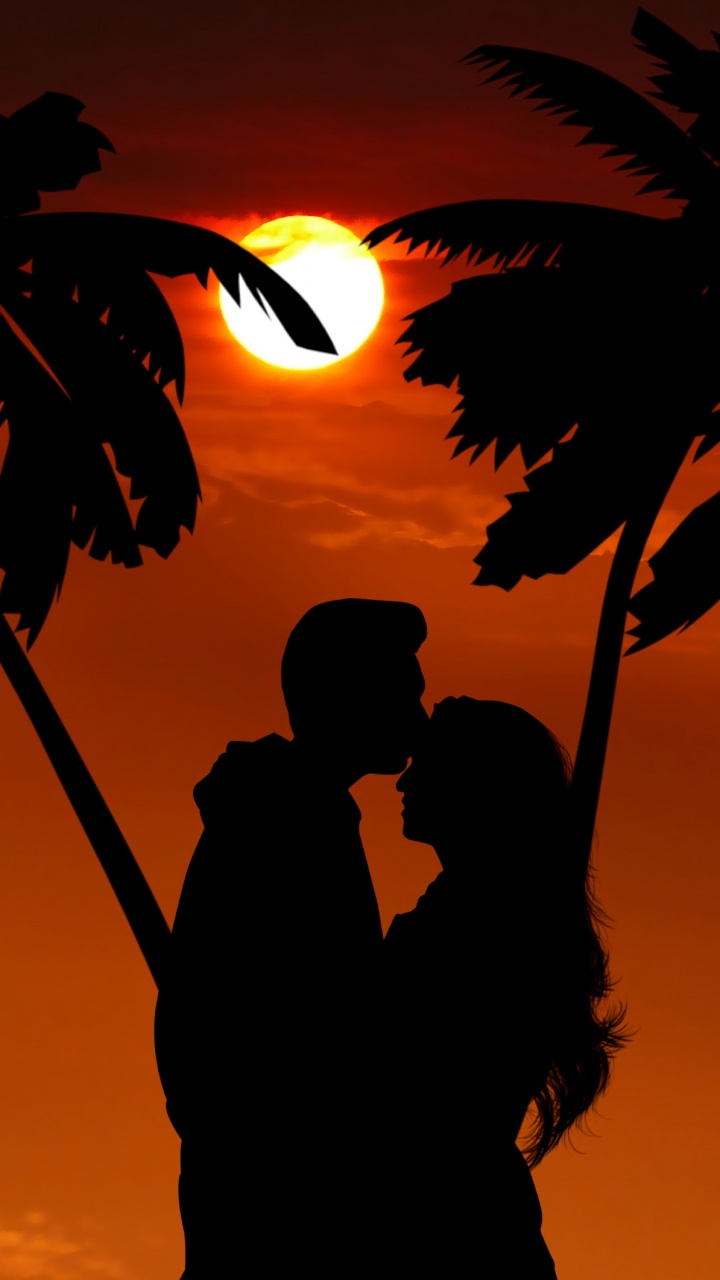 Palm Trees, Vector Graphics, Clip Art, Transparency, Tree. Wallpaper in 720x1280 Resolution