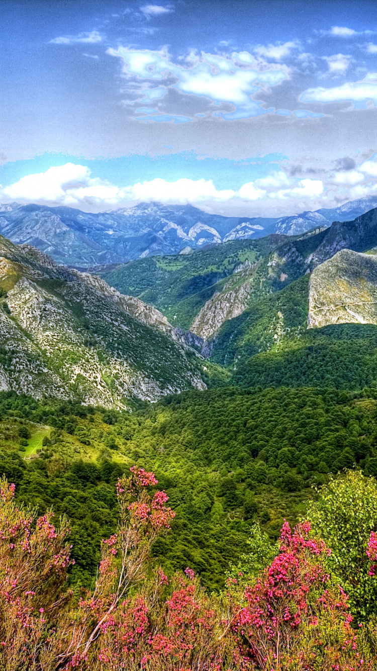 Green and Brown Mountains Under Blue Sky During Daytime. Wallpaper in 750x1334 Resolution