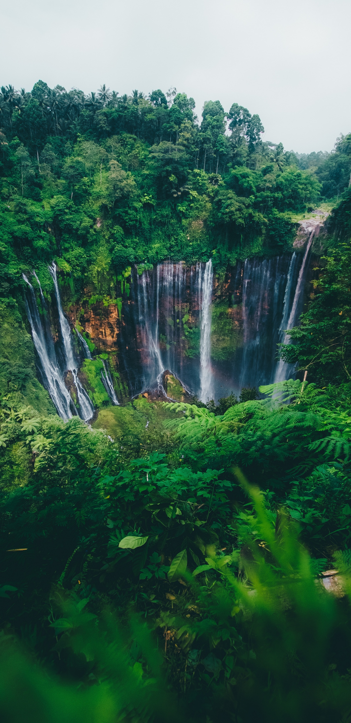 Waterfall, Natural Landscape, Nature, Water Resources, Body of Water. Wallpaper in 1440x2960 Resolution