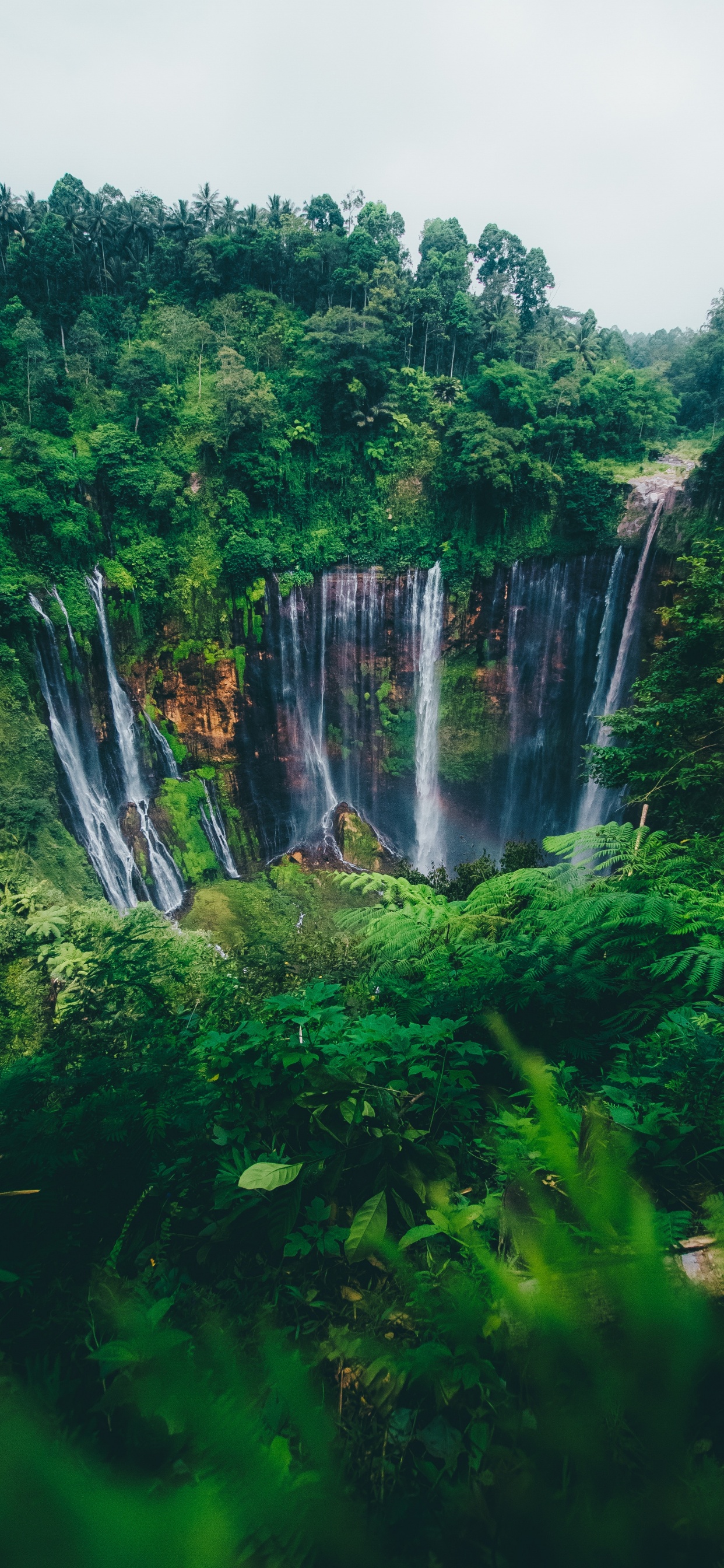 Cascada, Paisaje Natural, Naturaleza, Los Recursos de Agua, Cuerpo de Agua. Wallpaper in 1242x2688 Resolution
