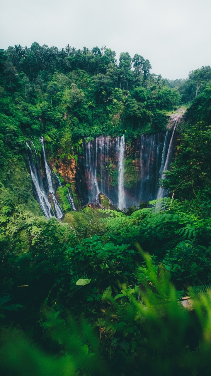 Wasserfall, Naturlandschaft, Natur, Wasserressourcen, Gewässer. Wallpaper in 720x1280 Resolution