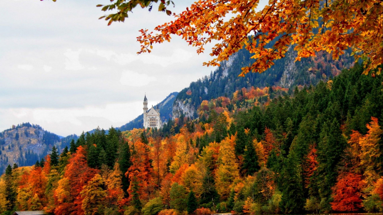 Grüne Und Braune Bäume in Der Nähe Eines Weißen Betongebäudes Unter Weißen Wolken Und Blauem Himmel Tagsüber. Wallpaper in 1280x720 Resolution