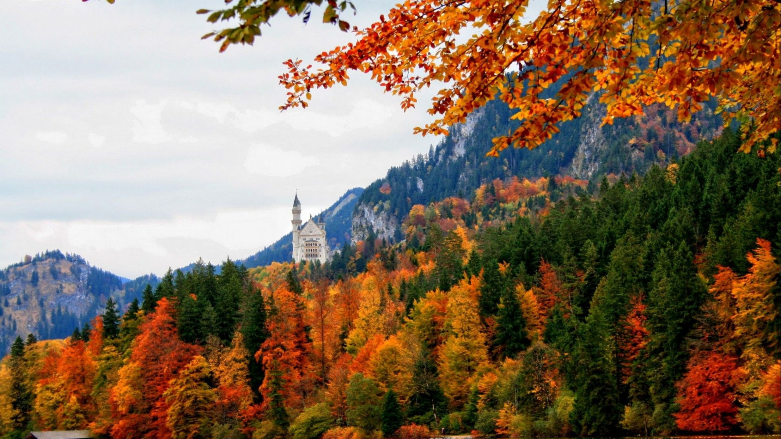 Arbres Verts et Bruns Près D'un Bâtiment en Béton Blanc Sous Des Nuages Blancs et un Ciel Bleu Pendant la Journée. Wallpaper in 2560x1440 Resolution