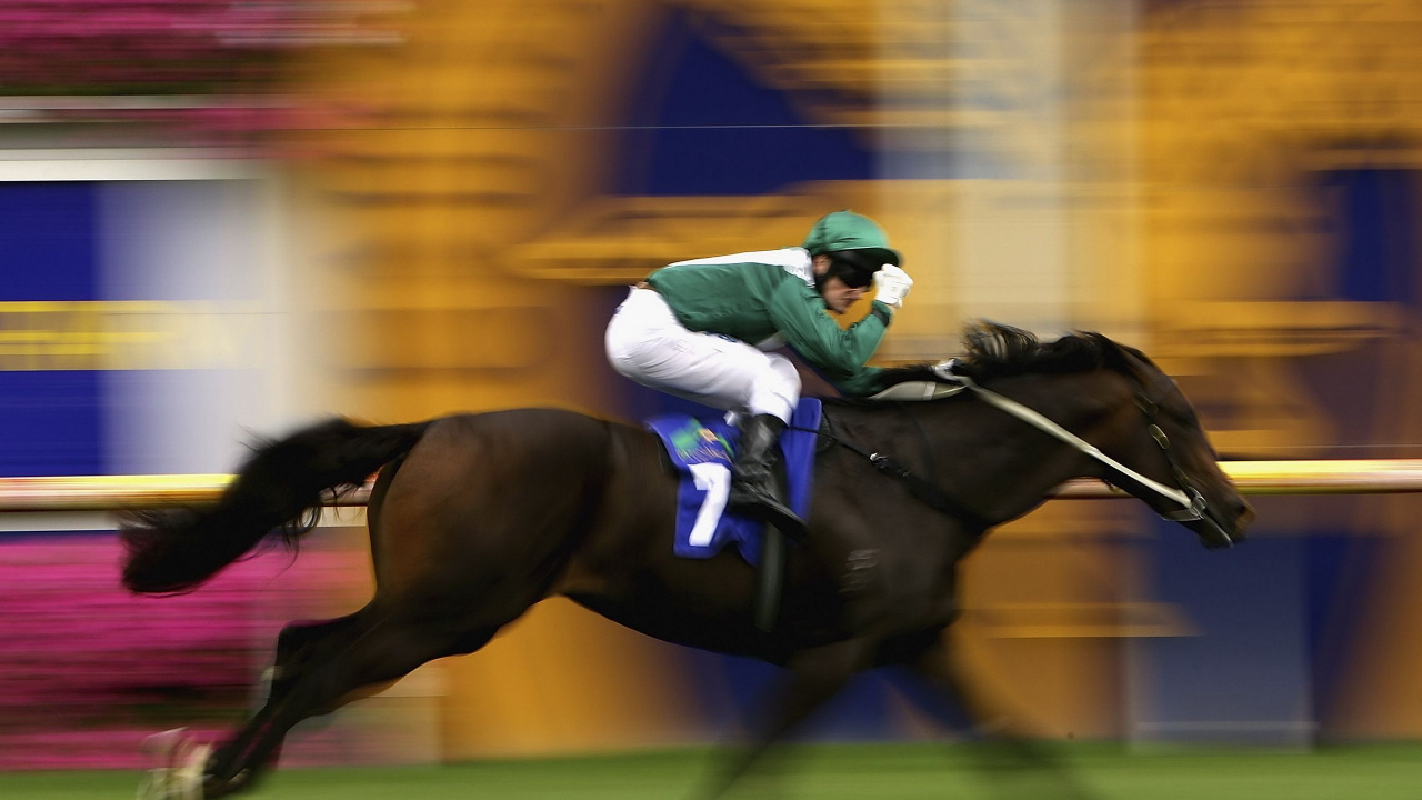 Mujer en Camisa Blanca de Manga Larga Montando Caballo Negro. Wallpaper in 1280x720 Resolution