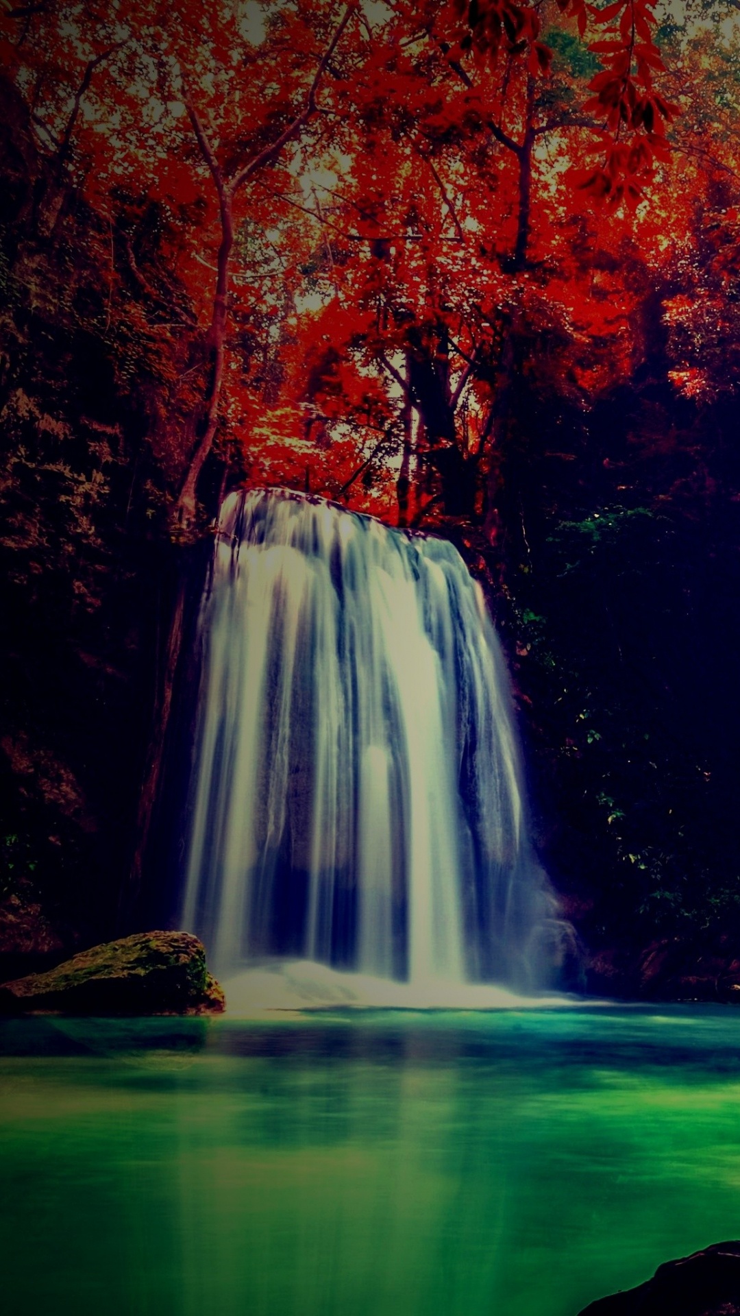 Brown Trees With Green Grass Field During Daytime. Wallpaper in 1080x1920 Resolution