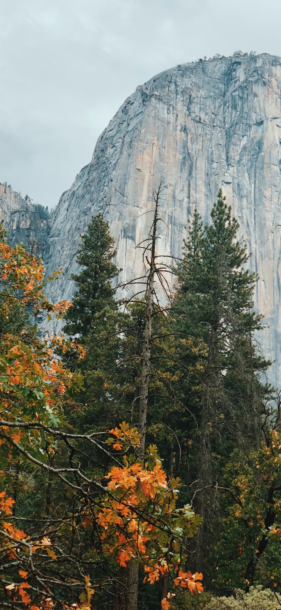 California, Usa, Yosemite Valley, Yosemite National Park el Capitan, Mountainous Landforms. Wallpaper in 1125x2436 Resolution