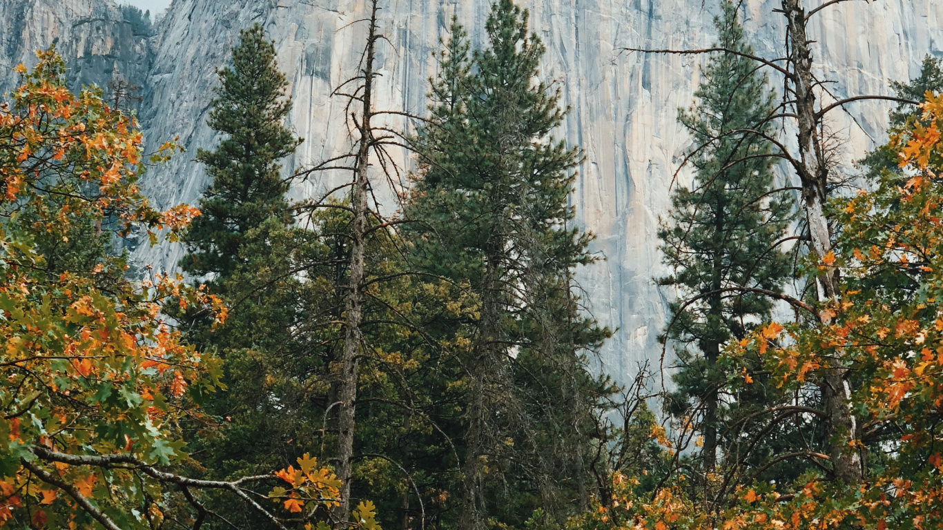 California, Usa, Yosemite Valley, Yosemite National Park el Capitan, Mountainous Landforms. Wallpaper in 1366x768 Resolution
