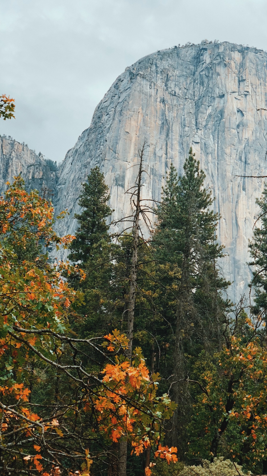 Kalifornien, USA, Yosemite Valley, Yosemite Nationalpark El Capitan, Bergigen Landschaftsformen. Wallpaper in 1080x1920 Resolution