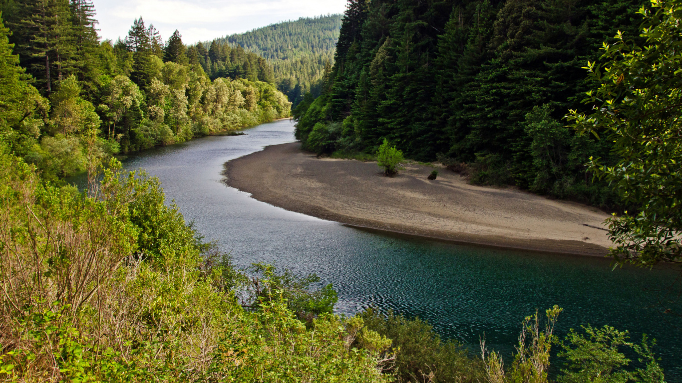 Tagsüber Grüne Bäume am Fluss. Wallpaper in 1366x768 Resolution