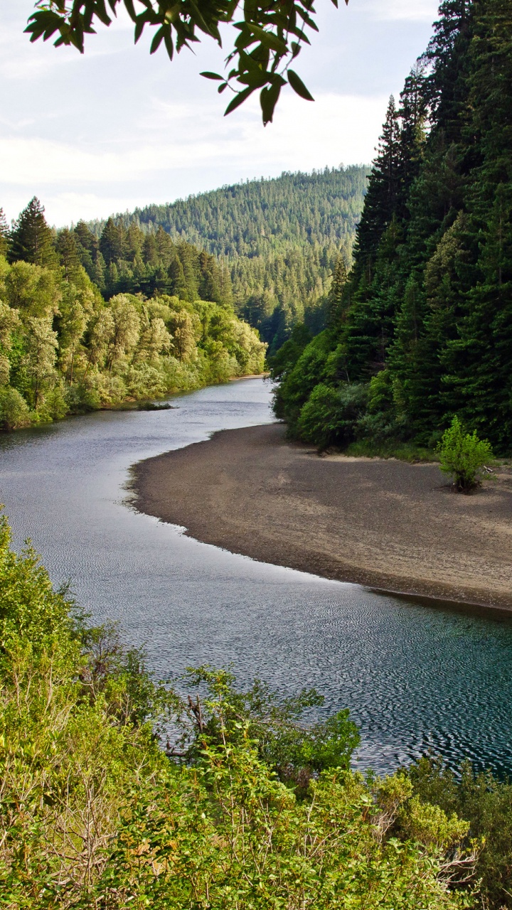 Green Trees Beside River During Daytime. Wallpaper in 720x1280 Resolution