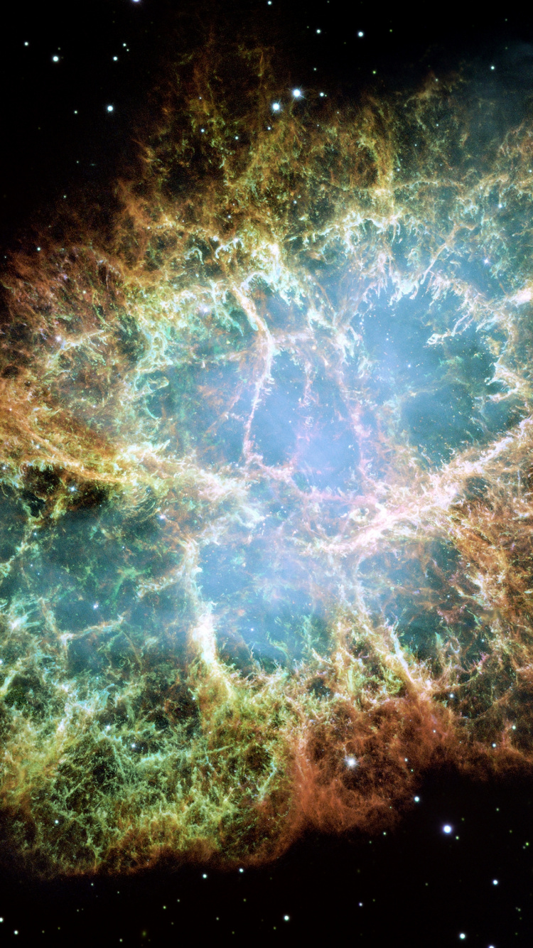 Nebula Hubble, Nebula, Crab Nebula, Astronomy, Hubble Space Telescope. Wallpaper in 750x1334 Resolution