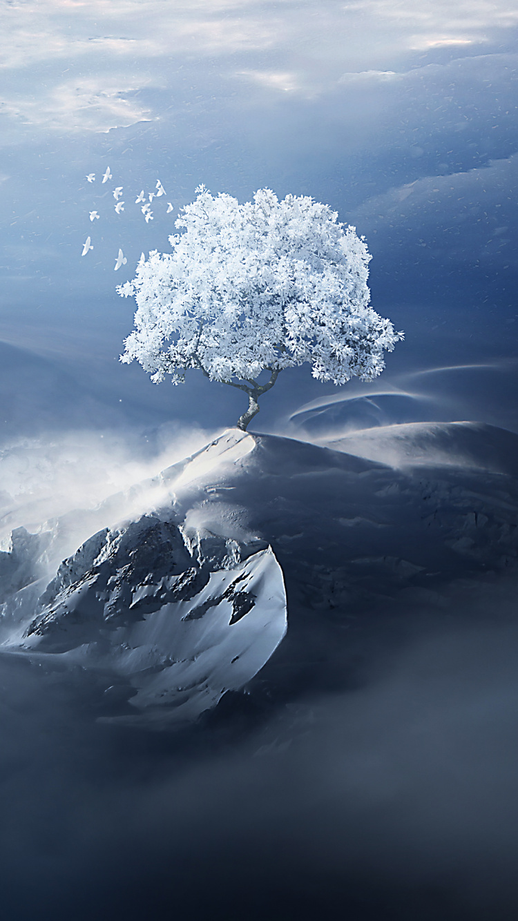 Landscape, Cloud, Atmosphere, Winter, Mountain. Wallpaper in 750x1334 Resolution